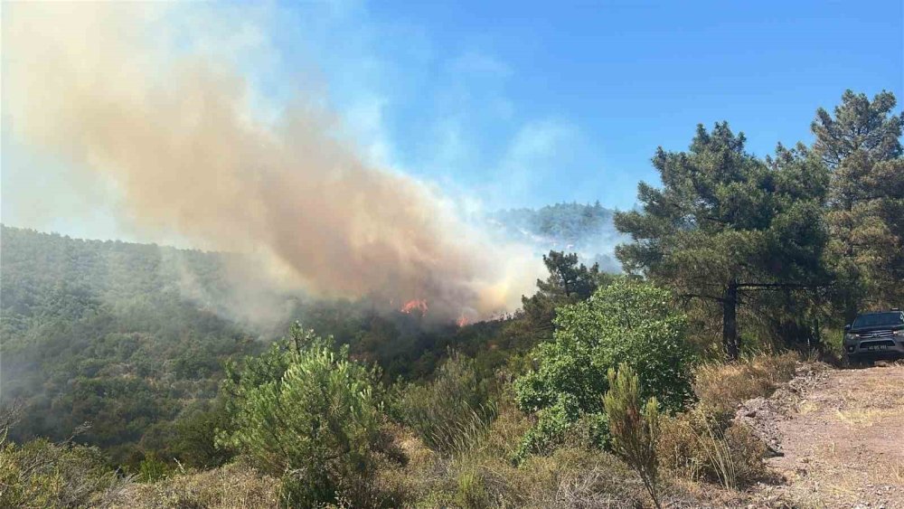 Orman Yangınına Sebep Olan 9 Kişi Gözaltına Alındı
