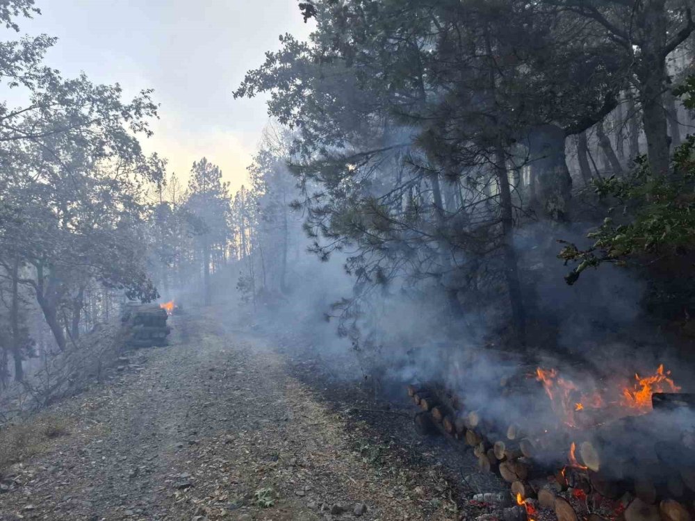 Orman Yangınına Sebep Olan 9 Kişi Gözaltına Alındı