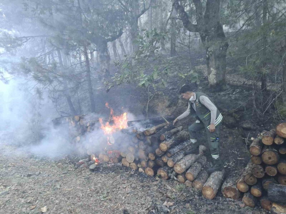 Orman Yangınına Sebep Olan 9 Kişi Gözaltına Alındı
