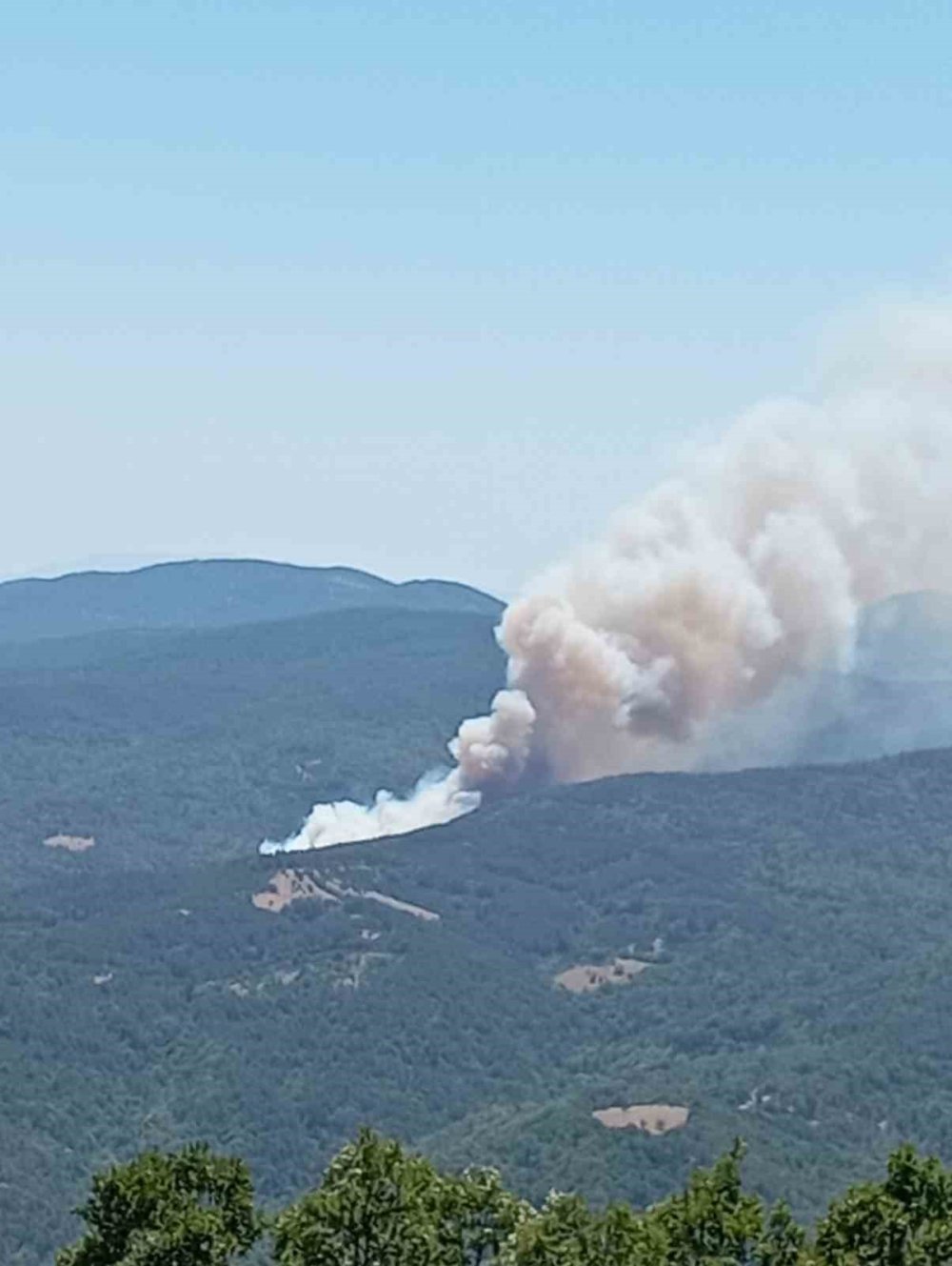 Orman Yangınına Sebep Olan 9 Kişi Gözaltına Alındı