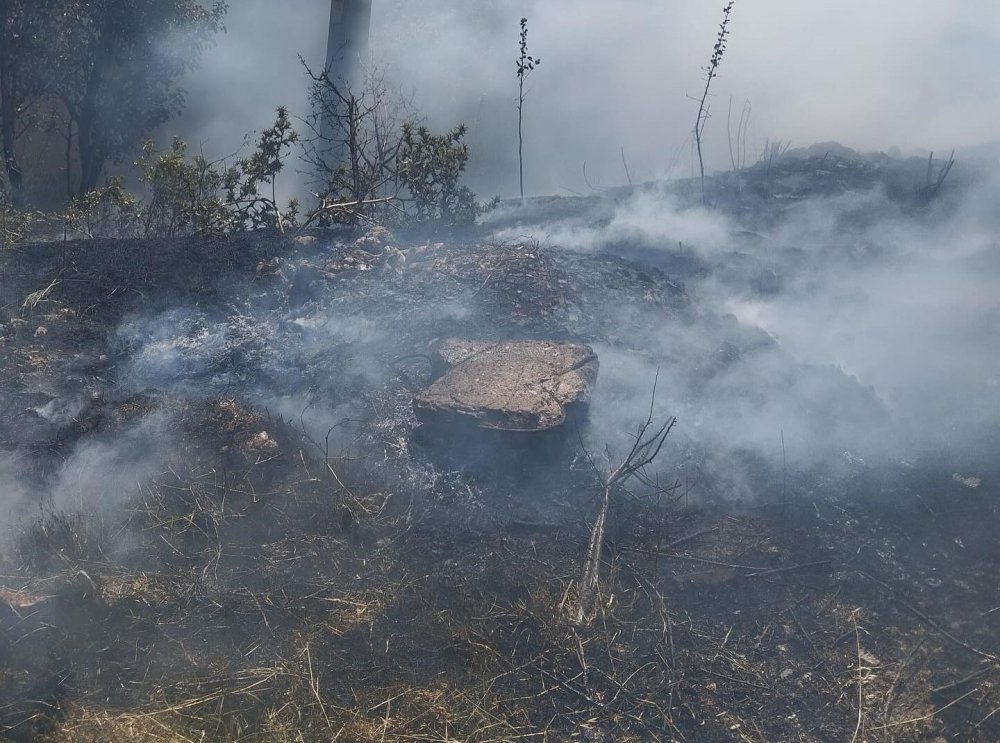 Trafo Yakınında Ot Yangını Paniğe Sebep Oldu