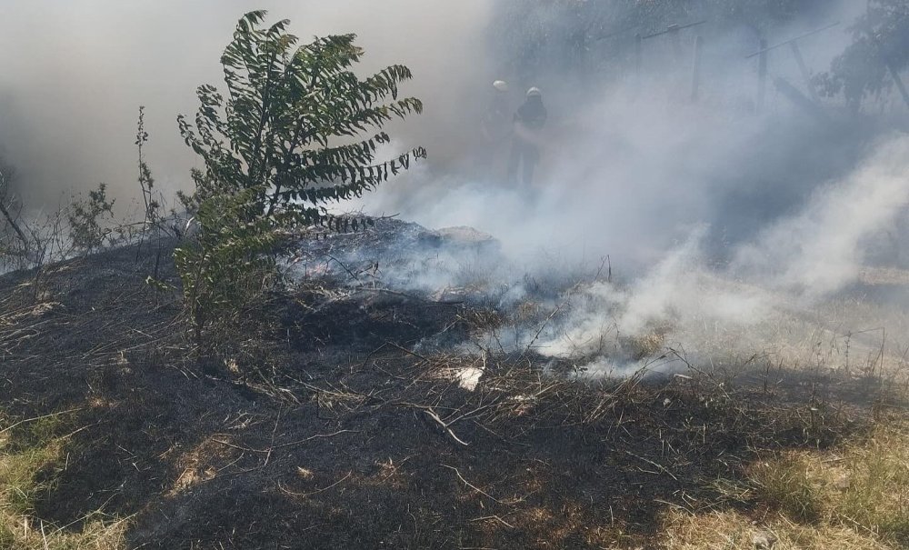 Trafo Yakınında Ot Yangını Paniğe Sebep Oldu
