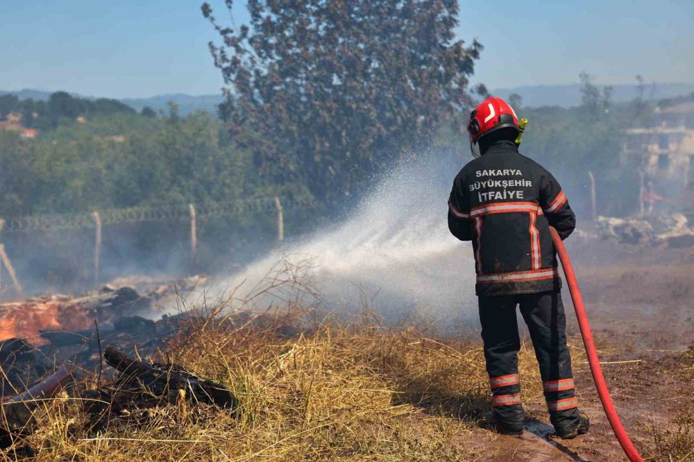 Orman Yangınlarına Karşı Uyarı: Küçük Bir İhmalle, Büyük Felaketler Yaşatmamak İçin Bunlara Dikkat