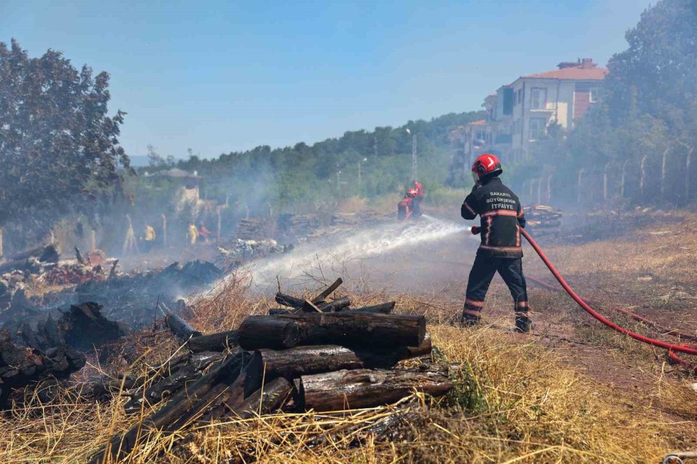 Orman Yangınlarına Karşı Uyarı: Küçük Bir İhmalle, Büyük Felaketler Yaşatmamak İçin Bunlara Dikkat