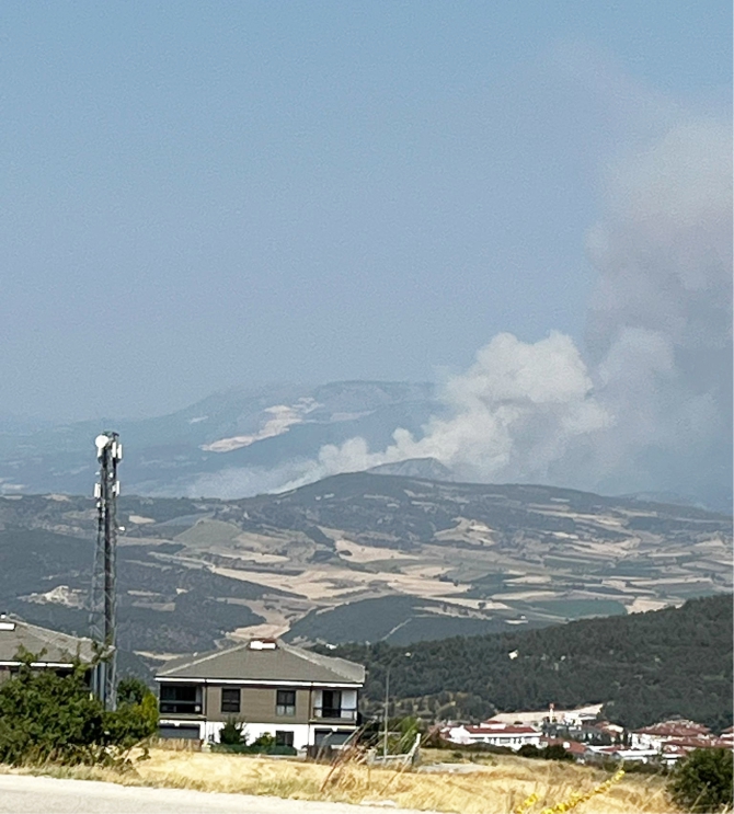 bilecikte-orman-yangini1.jpg