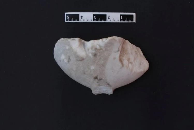 Bu ‘Kilya’ Tipi Figür Tüm Tarihi Değiştirecek
