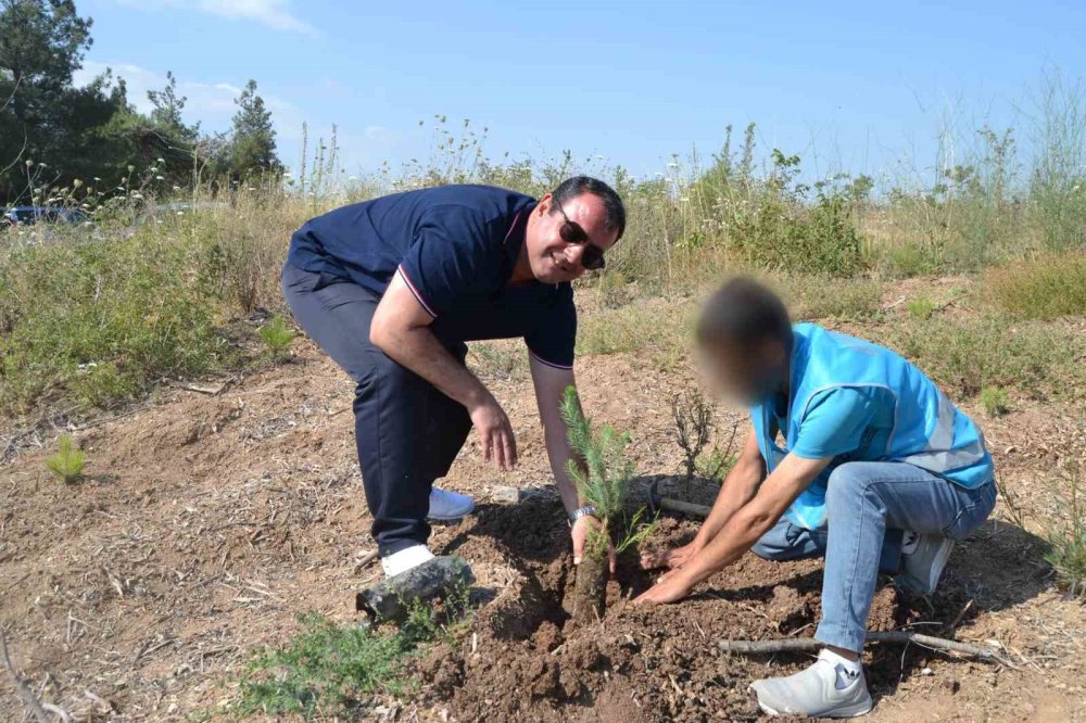 Hükümlüler, 15 Temmuz Şehitleri Anısına Fidanları Toprakla Buluşturdu