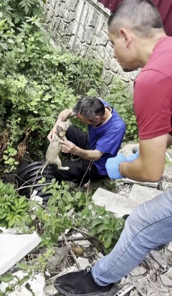 Kanala Düşen Yavru Köpek İçin Zamanla Yarıştılar