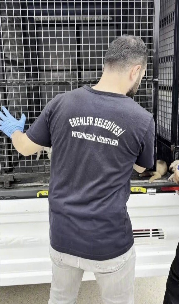Kanala Düşen Yavru Köpek İçin Zamanla Yarıştılar