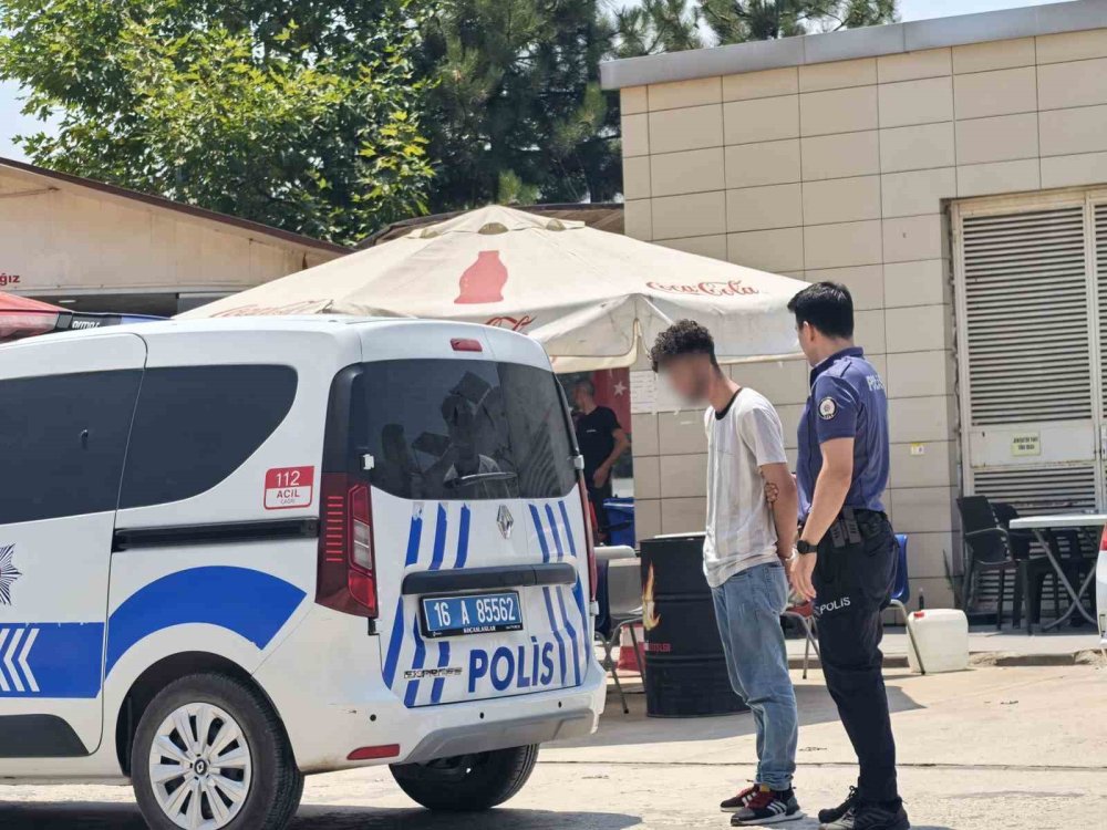 Kendini Serinletmeyen Bahçıvanı Darp Etti