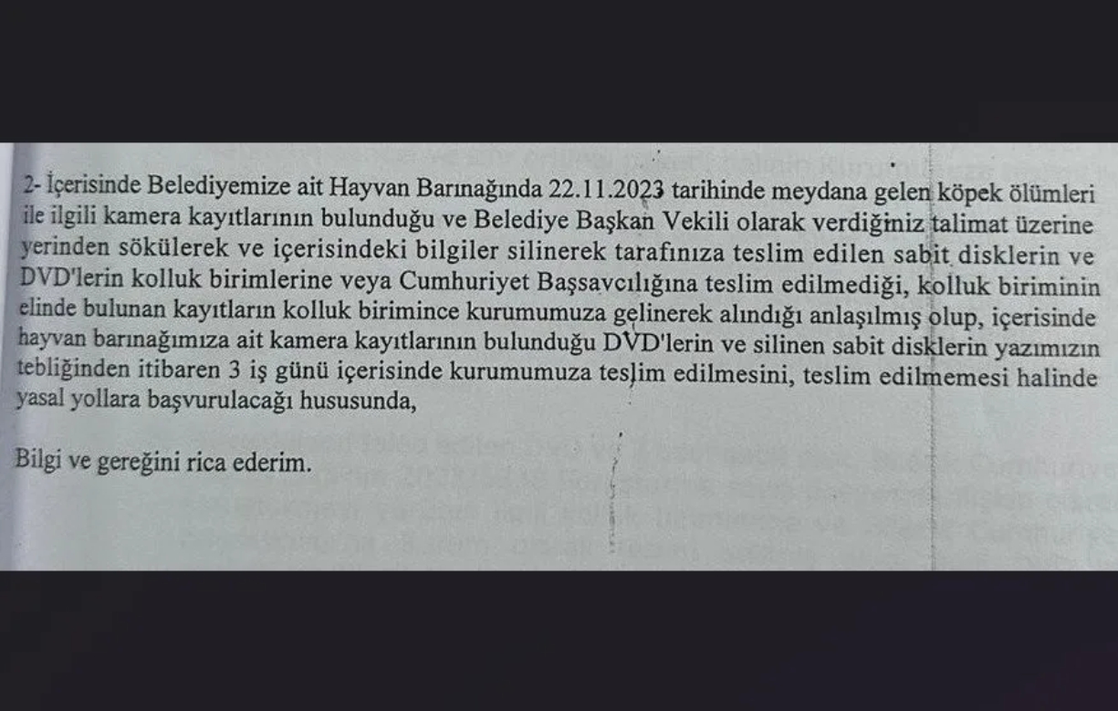 kopek-katliami3.jpg