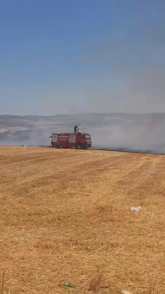 Korkutan Anız Yangını