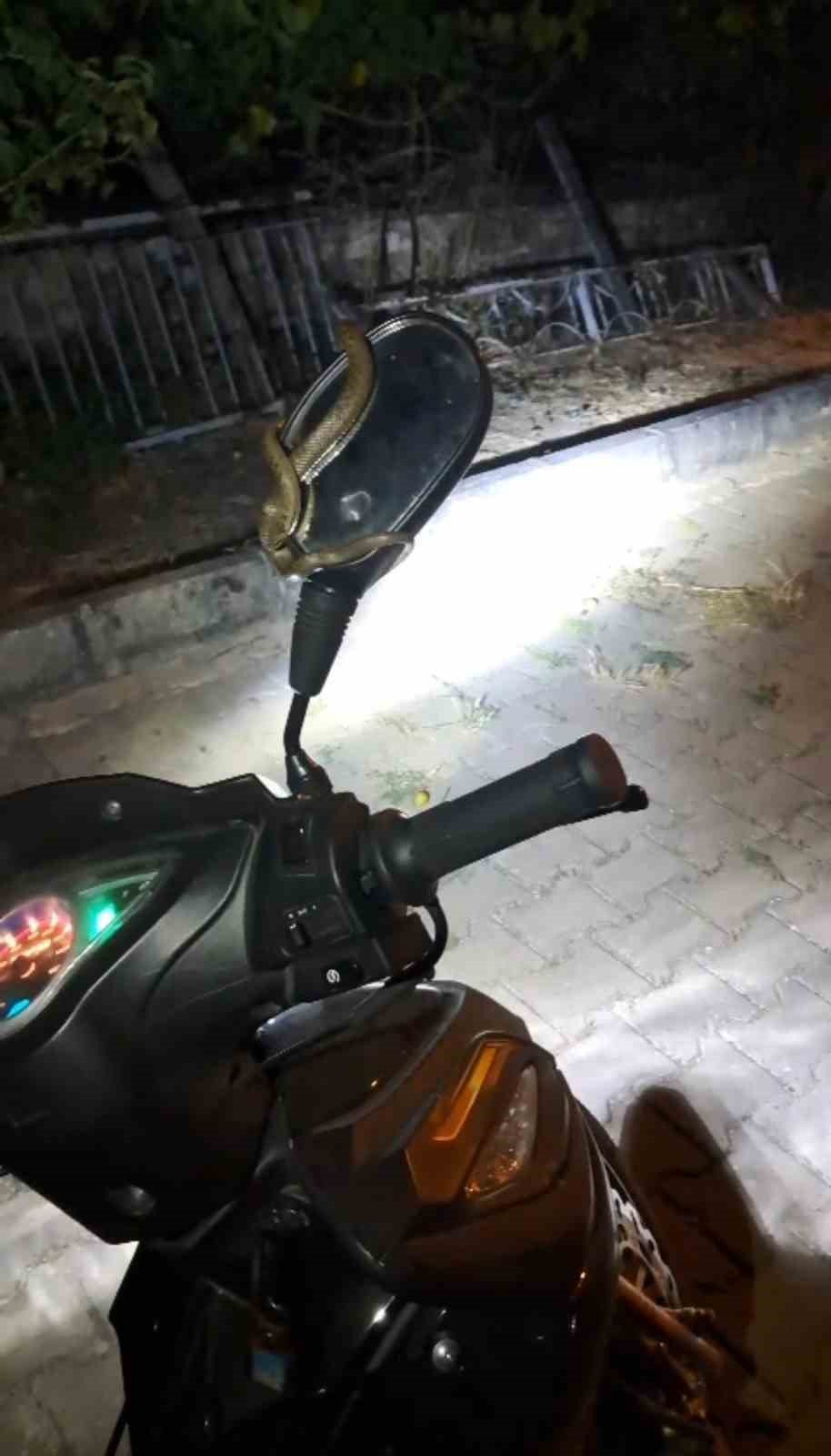 Park Halindeki Motosiklette Yılan Paniği