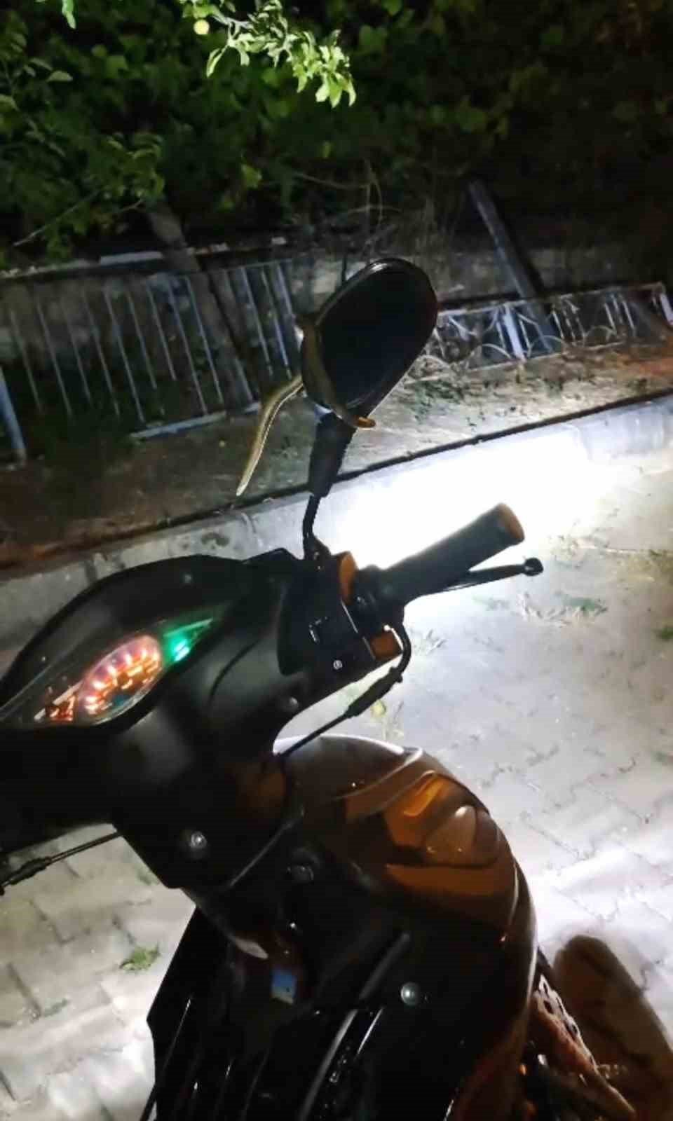 Park Halindeki Motosiklette Yılan Paniği