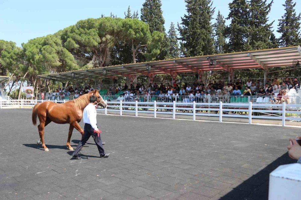 Tek Seferde 23 Milyon 45 Bin Liralık Gelir Elde Etti