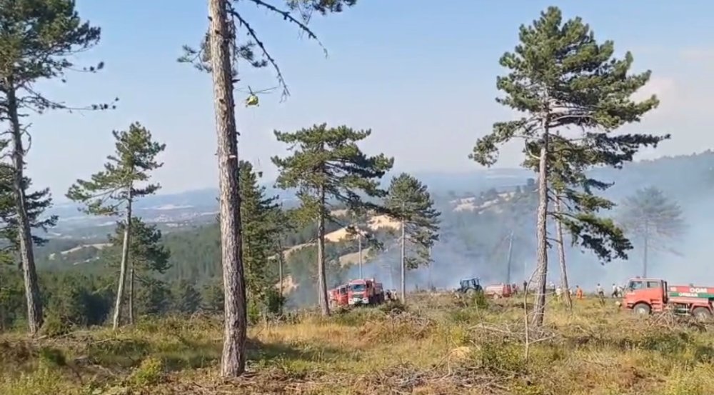 Gençleştirme Sahasında Çıkan Orman Yangını Söndürüldü