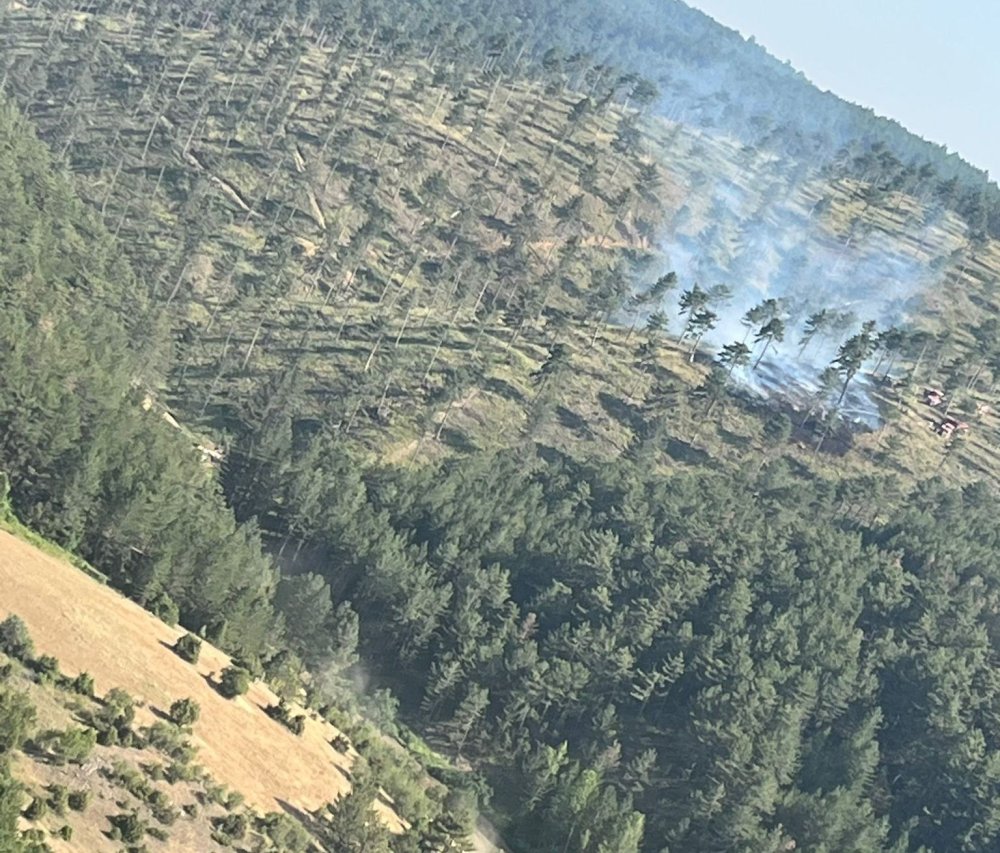 Gençleştirme Sahasında Çıkan Orman Yangını Söndürüldü