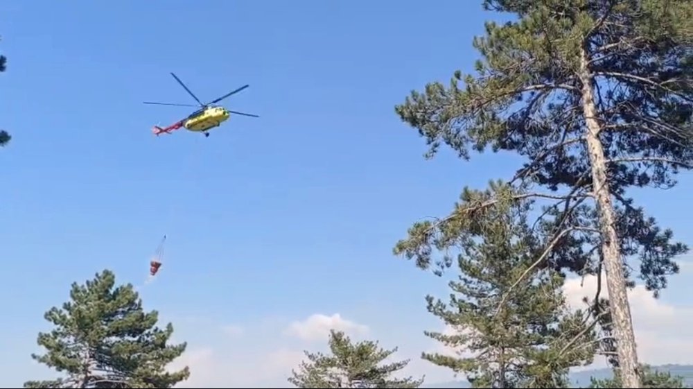 Gençleştirme Sahasında Çıkan Orman Yangını Söndürüldü