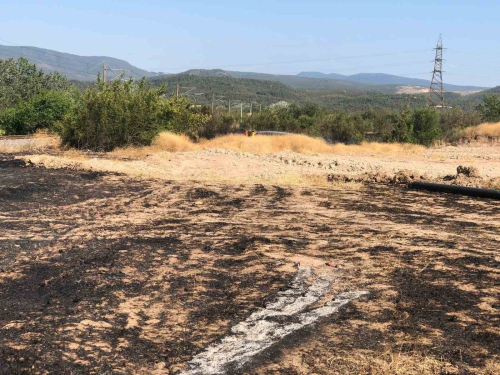 Anız Yangını Büyümeden Söndürüldü