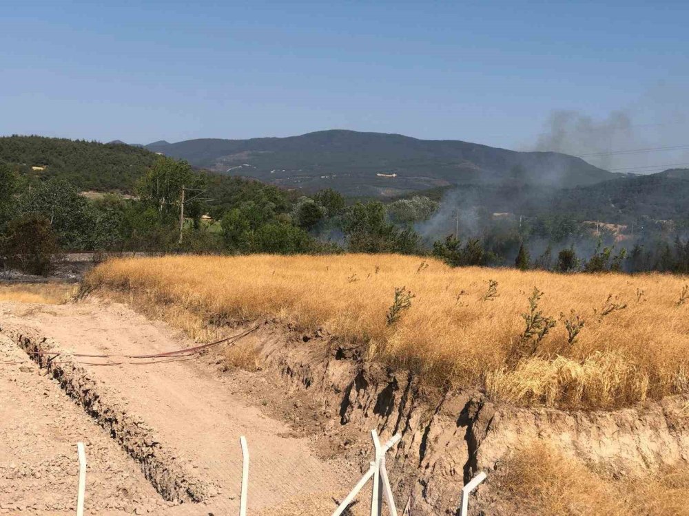 Anız Yangını Büyümeden Söndürüldü