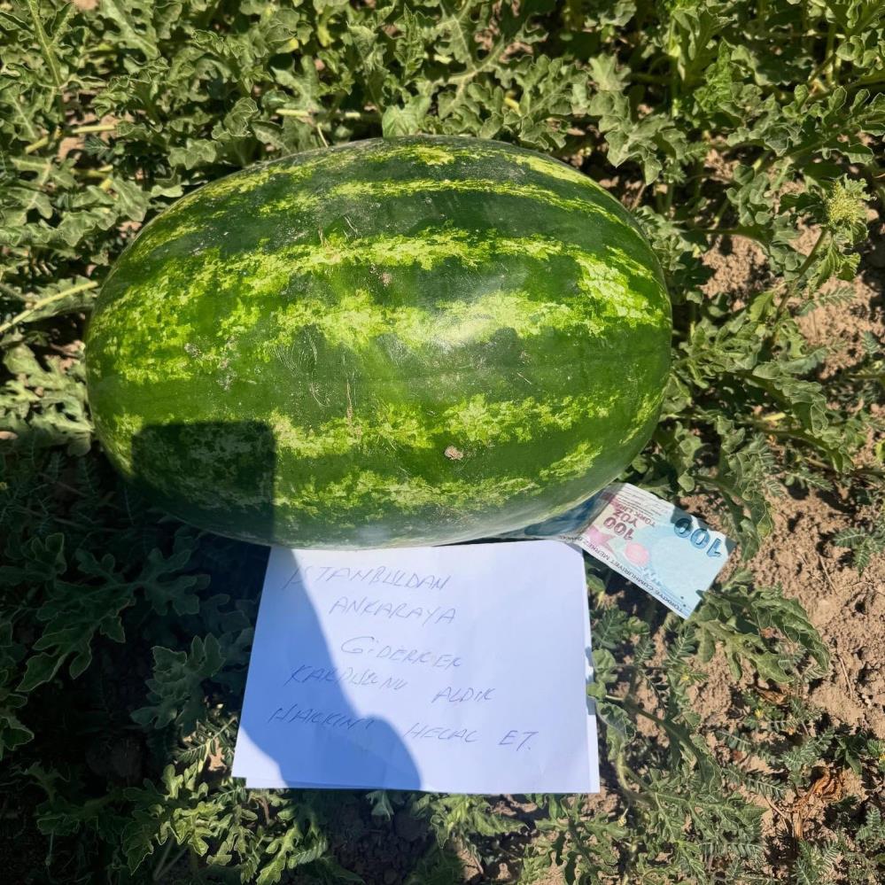 karpuz-ureticisi-tarlasinda-gordugu-not-karsisinda-duygulandi1.jpg