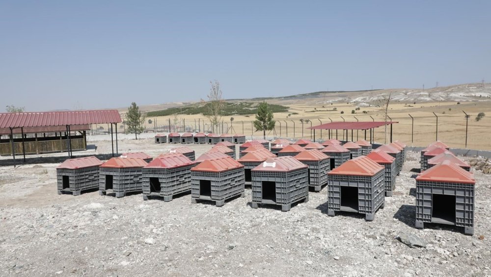 Sahipsiz Hayvanlar İçin Doğal Yaşam Alanı Tamamlandı