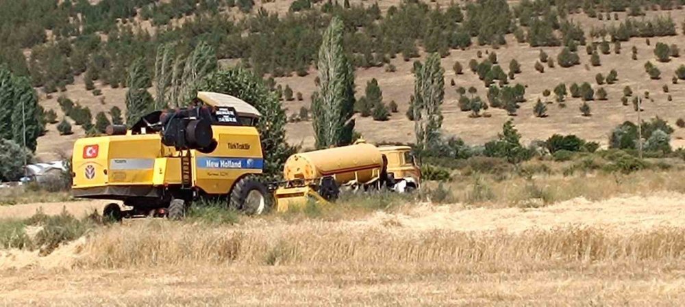 Biçerdöverlerin Biçim Yasağına Uyup Uymadığı Kontrol Ediliyor