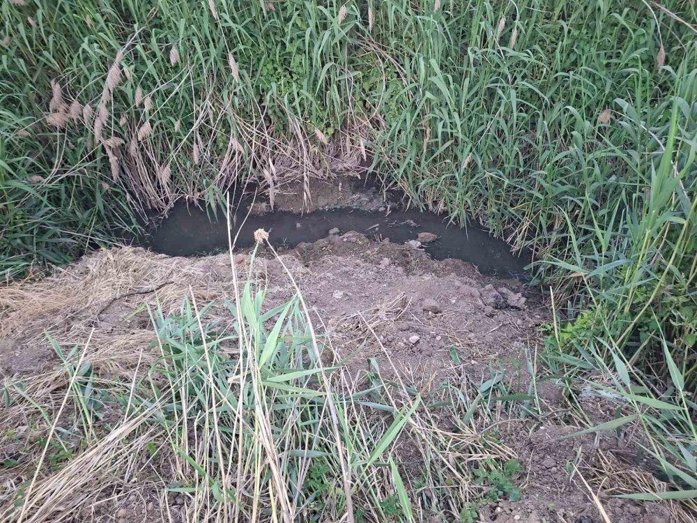 Dereye Akan Lağım Suyu, Mahalleliyi Nefes Alamaz Hale Getirdi