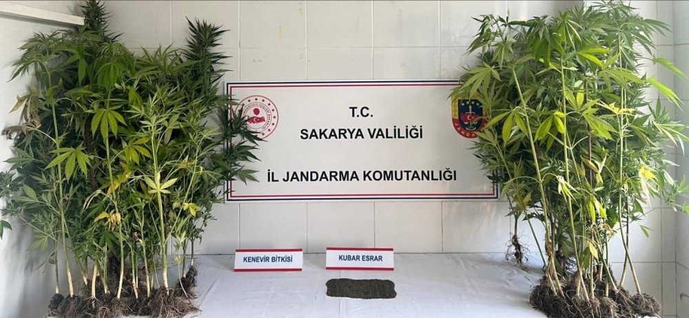 Jandarma Uyuşturucuya Geçit Vermiyor: 1 Tutuklama