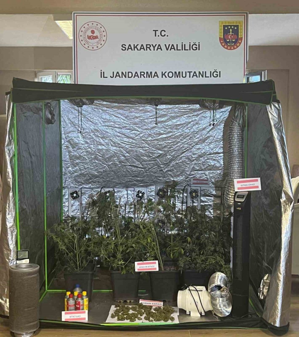 Jandarma Uyuşturucuya Geçit Vermiyor: 1 Tutuklama