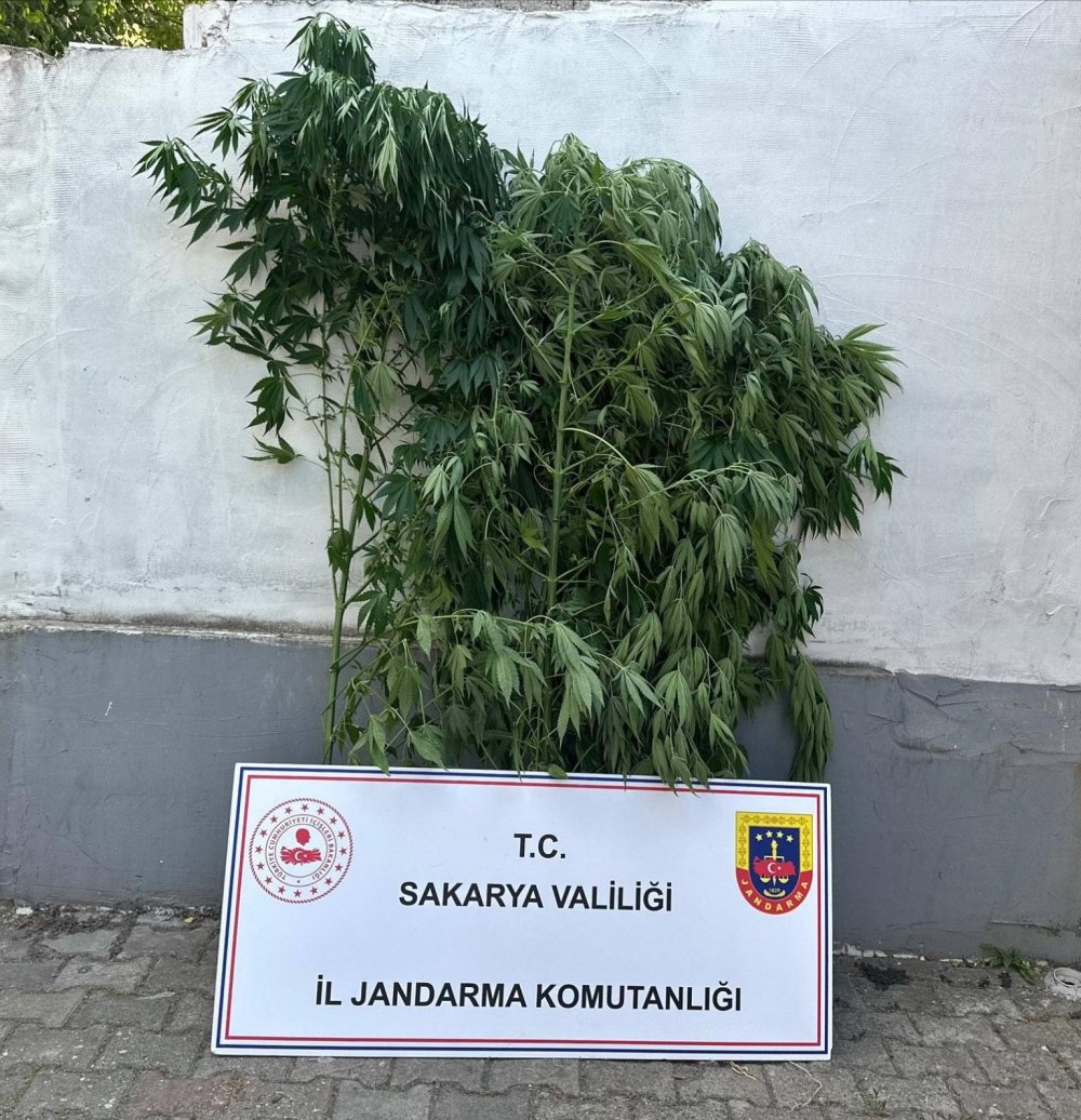 Jandarma Uyuşturucuya Geçit Vermiyor: 1 Tutuklama