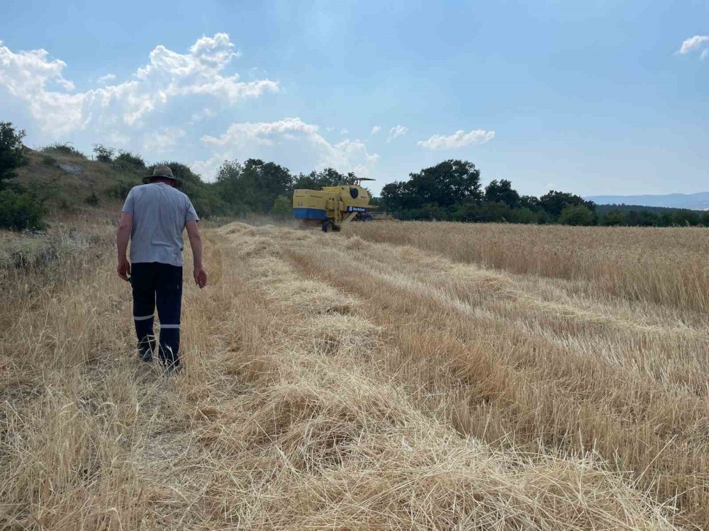Kırsaldaki Üreticilere Biçerdöver Desteği