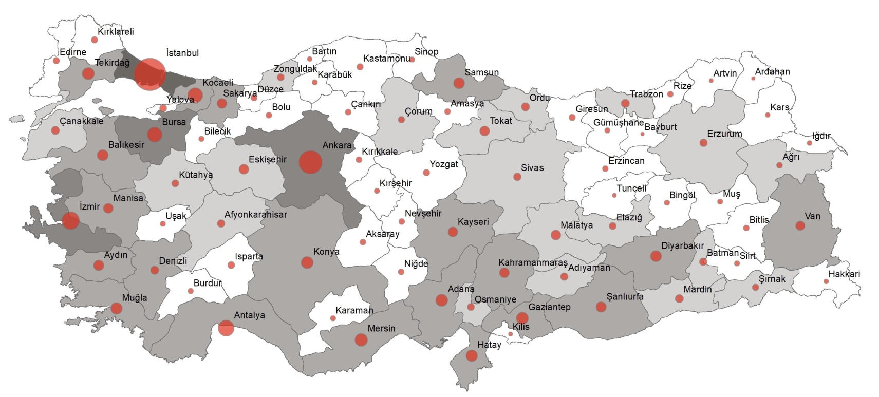 tuik.jpg
