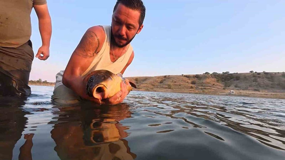 Yakaladıkları Balıkları Serbest Bırakıyorlar