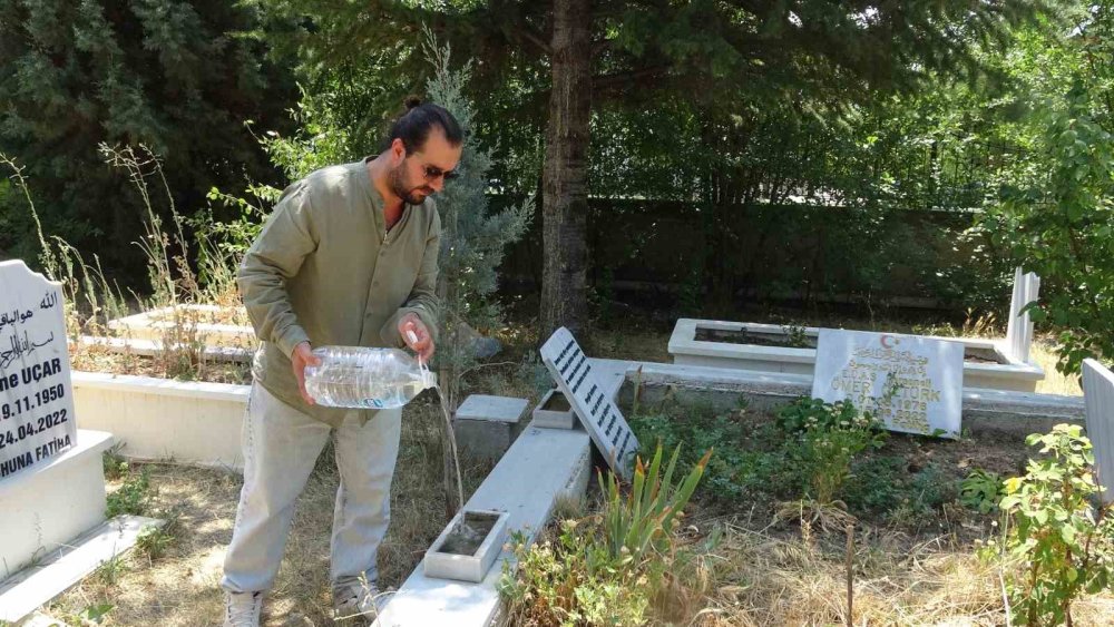 Mezarlık İçinde Kendisini Sevdiren Karga Şaşırttı