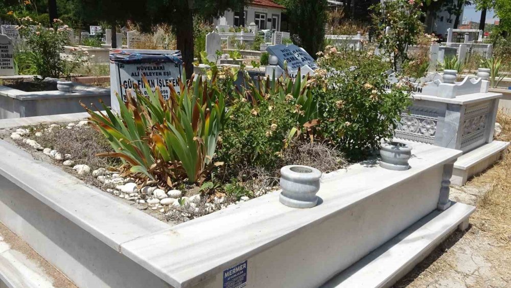 Mezarlık İçinde Kendisini Sevdiren Karga Şaşırttı