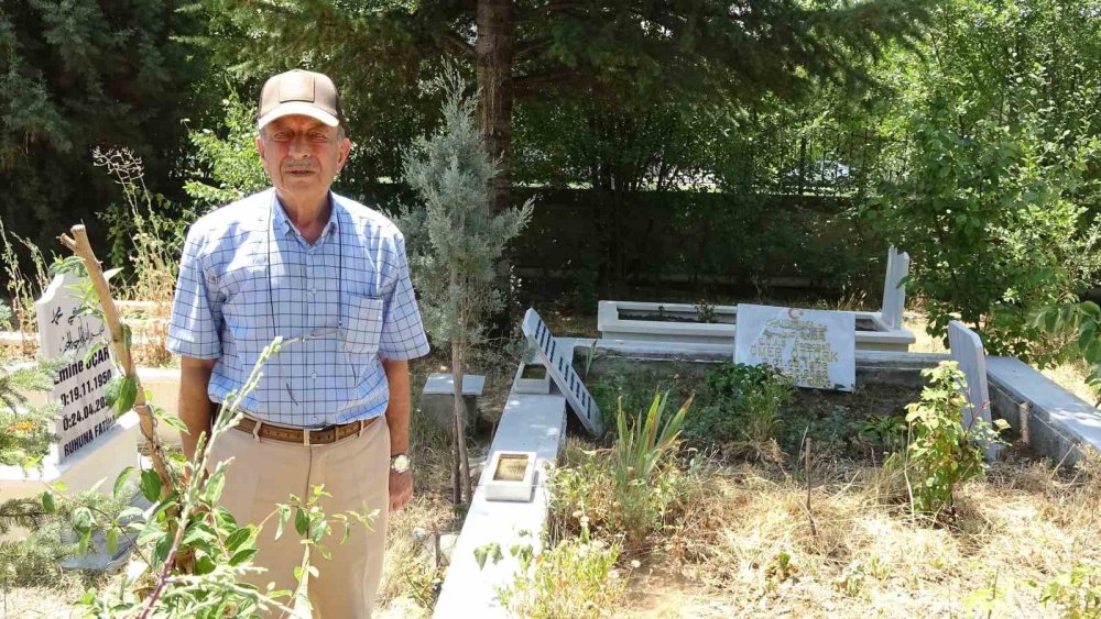 Mezarlık İçinde Kendisini Sevdiren Karga Şaşırttı