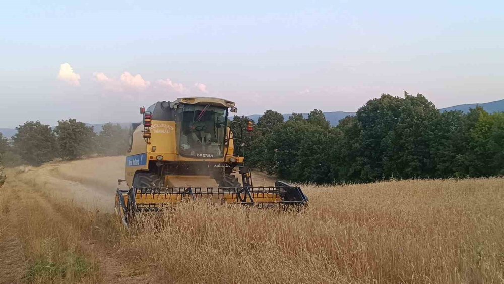 Tarım Şehri Bilecik’te Arpa Ve Buğday Bereketi