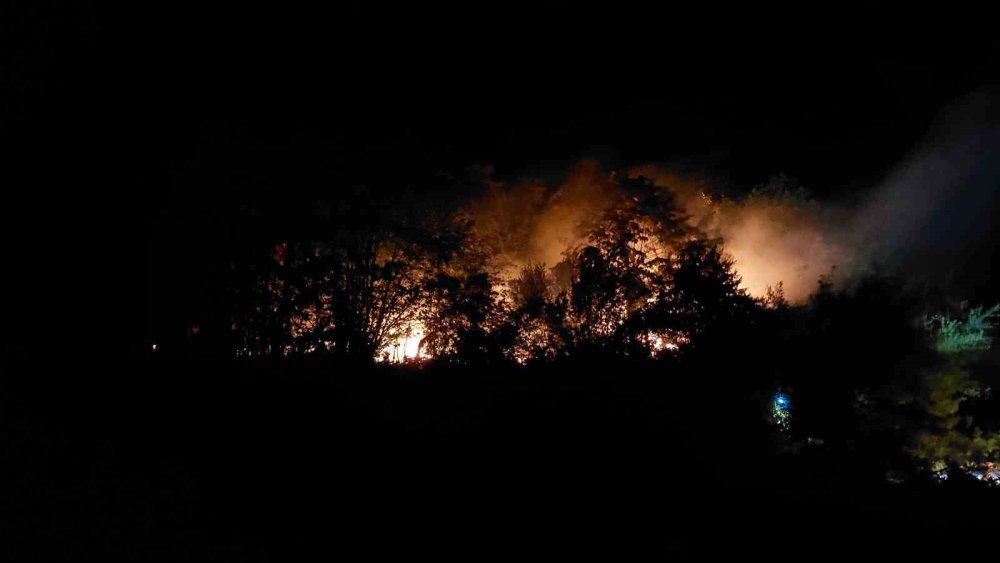 Yangınla İlgili 1 Kişi Tutuklandı