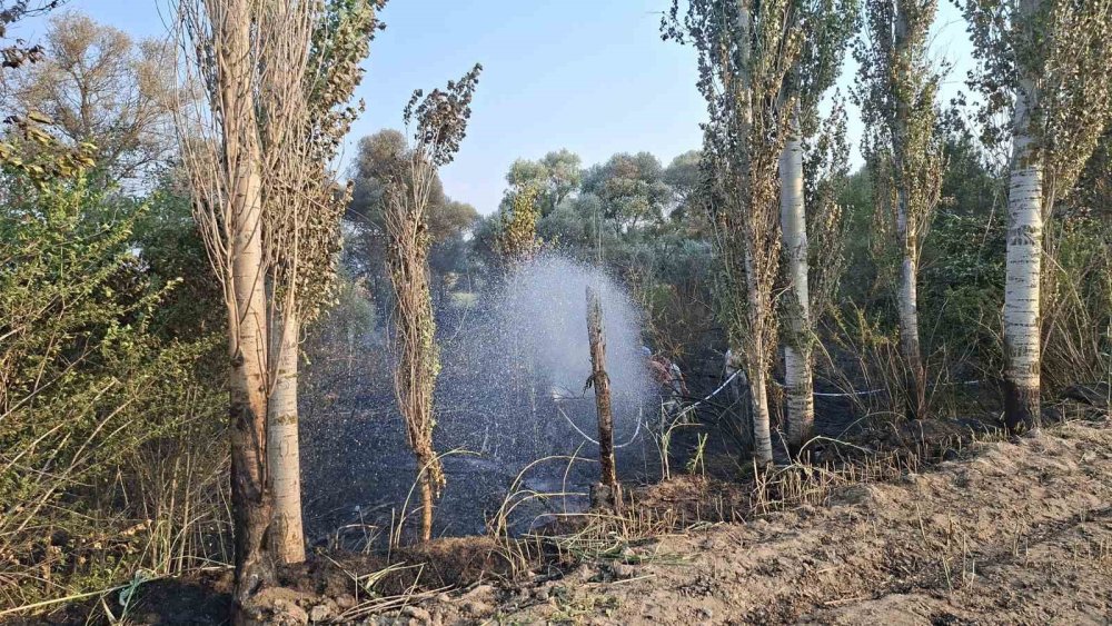 8 Dönüm Arazi Ve 180 Balya Saman Küle Döndü