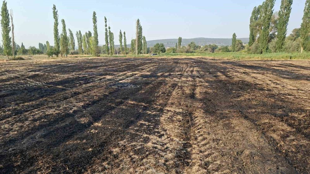 8 Dönüm Arazi Ve 180 Balya Saman Küle Döndü