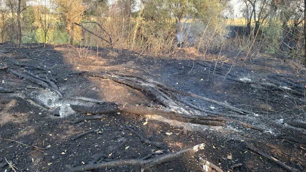 8 Dönüm Arazi Ve 180 Balya Saman Küle Döndü