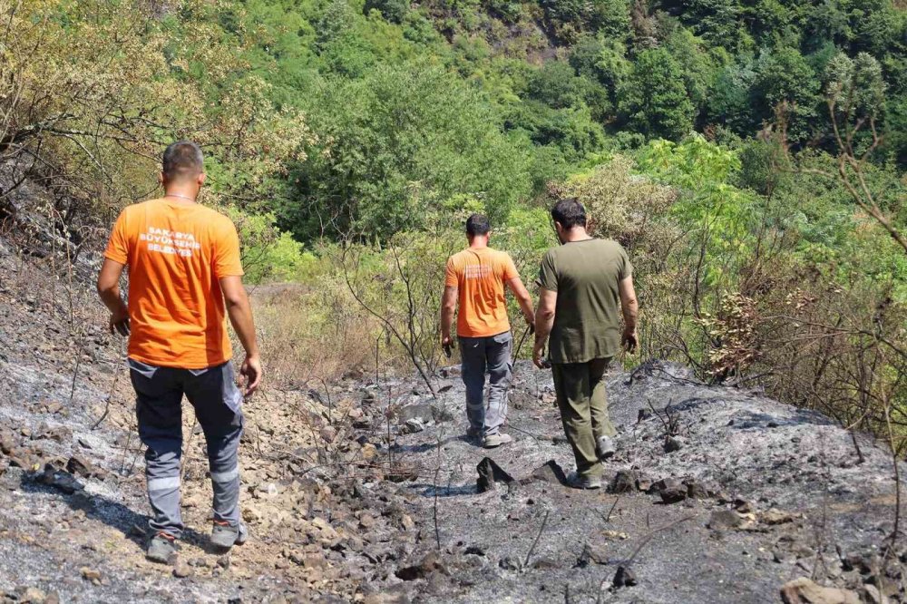 Alevlerin Sardığı Orman Yangınlarında Can Dostları İçin Harekete Geçtiler