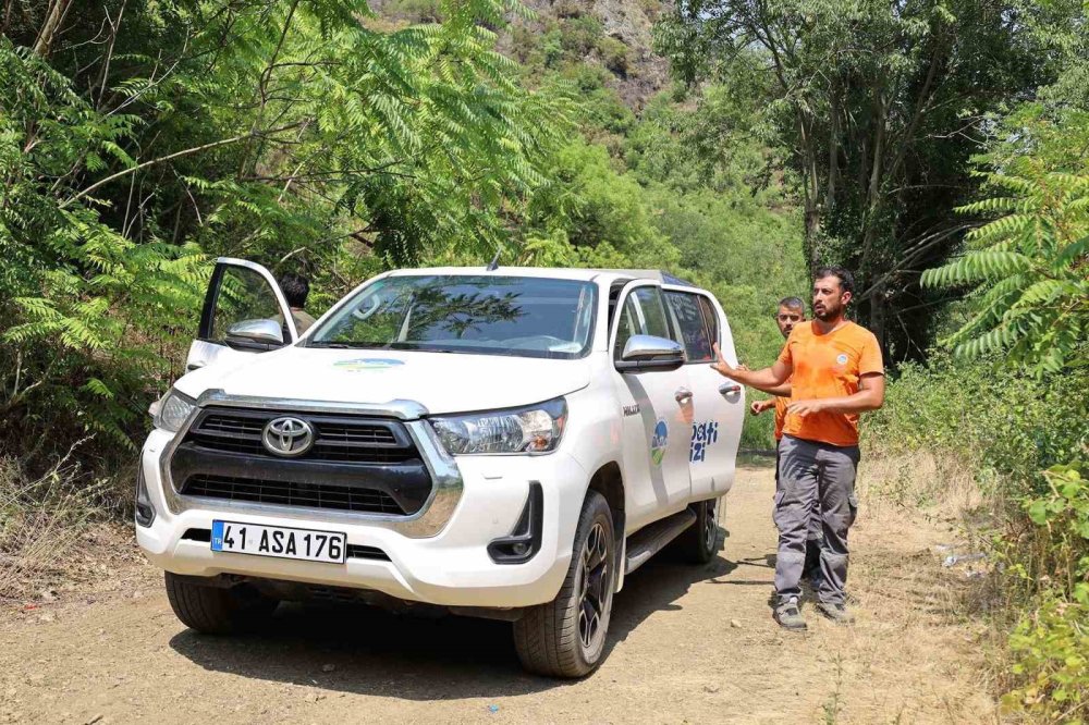 Alevlerin Sardığı Orman Yangınlarında Can Dostları İçin Harekete Geçtiler