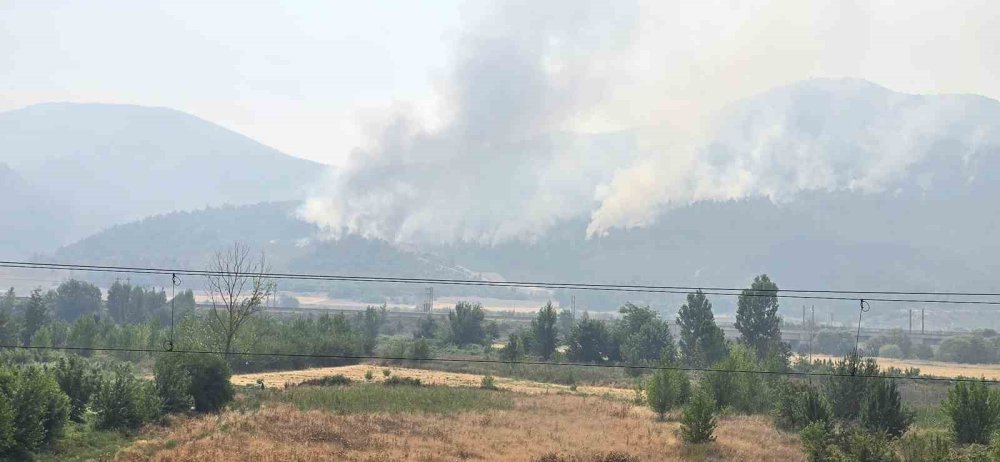 Zeytinliği Yanan Köylü O Anları Anlattı