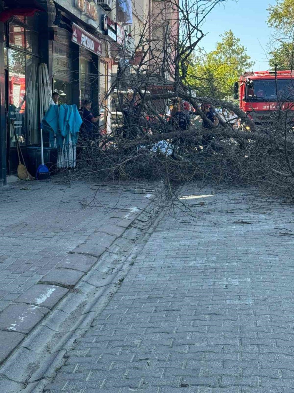 Asırlık Çınar Ağacı 4 Katlı Binanın Üzerine Devrildi