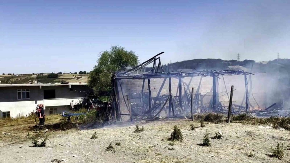 Saman Deposunda Çıkan Yangın Tarım Arazilerine Sıçradı