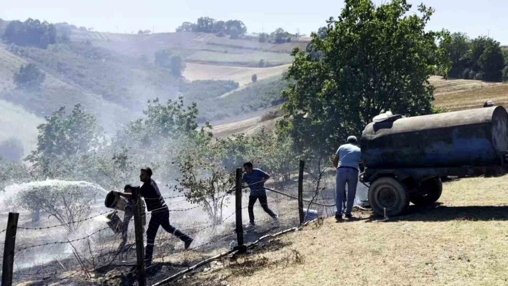 Saman Deposunda Çıkan Yangın Tarım Arazilerine Sıçradı