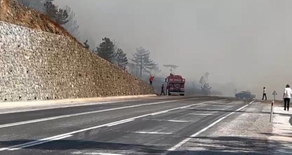 Bursa’da Orman Yangını!