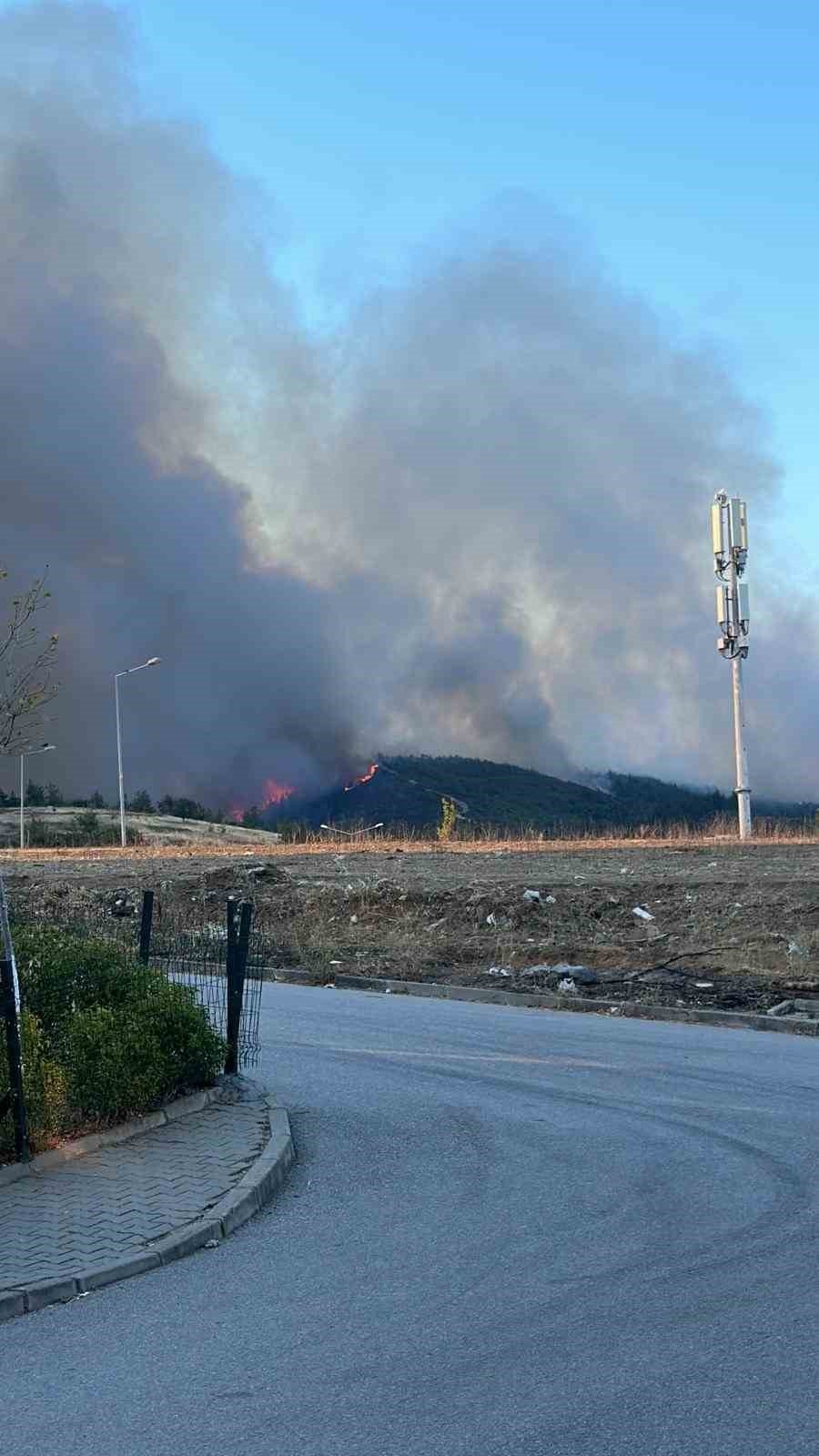 Bursa'da orman yangını!